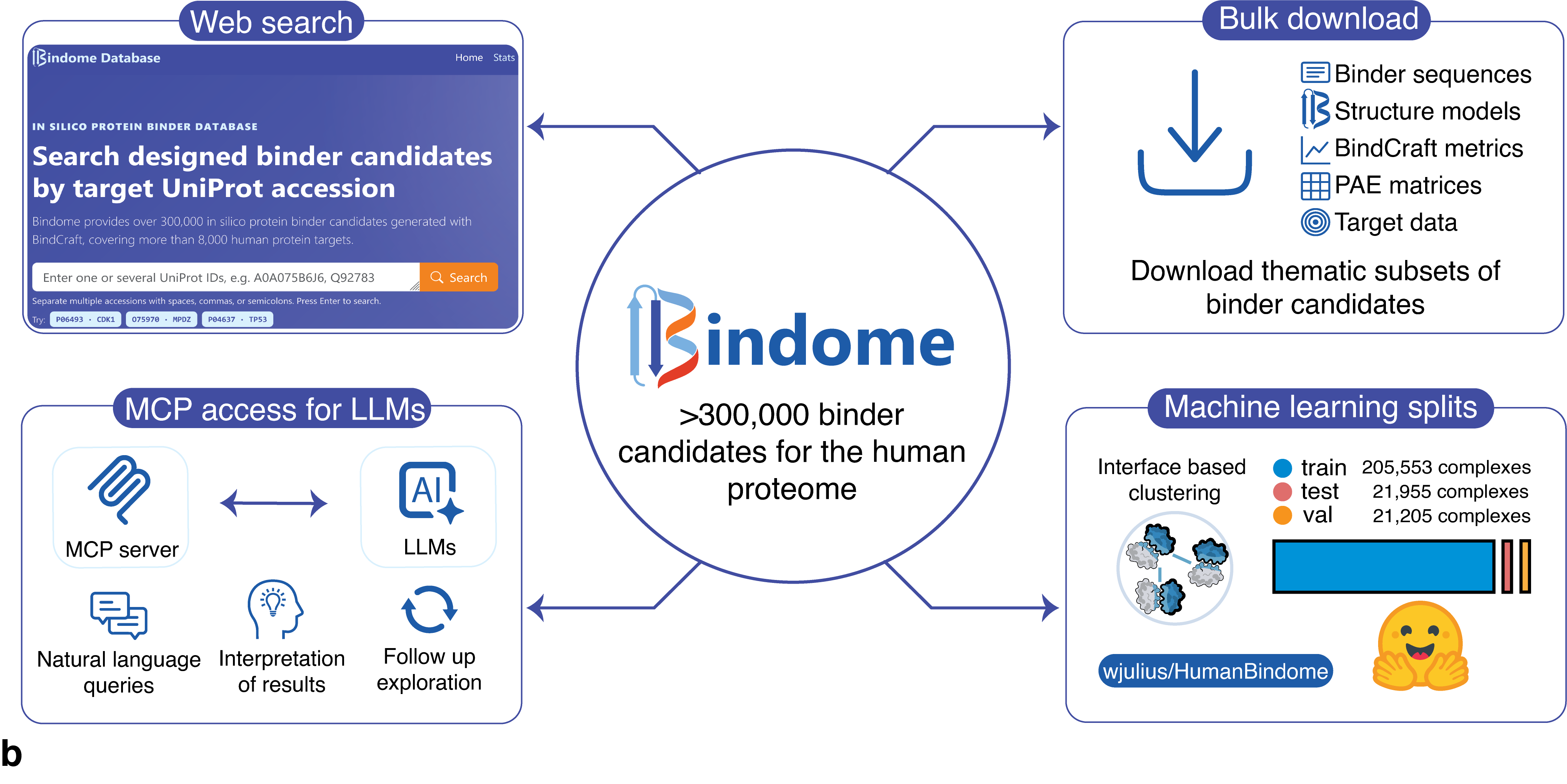 Overview of the different ways to access Bindome data.