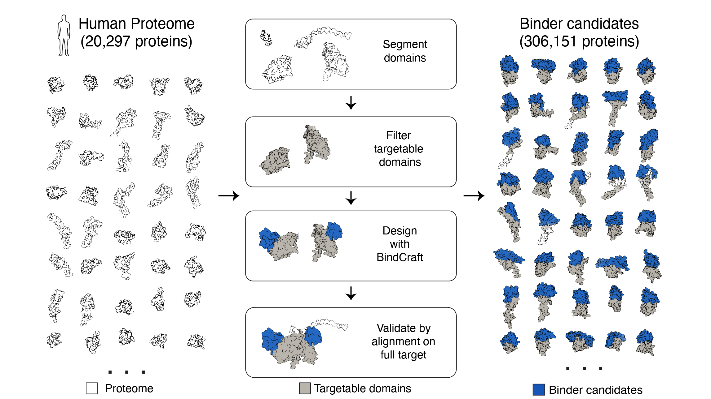 Computational workflow used to create the Bindome database.